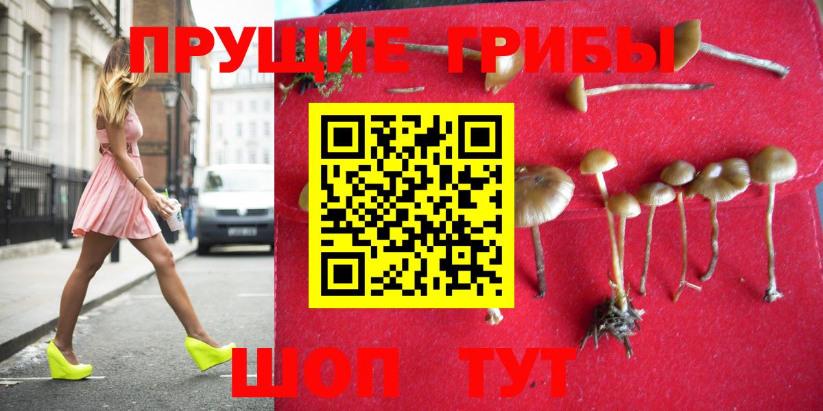 Псилоцибиновые грибы мухоморы  Вход с VPN  Магнитогорск 